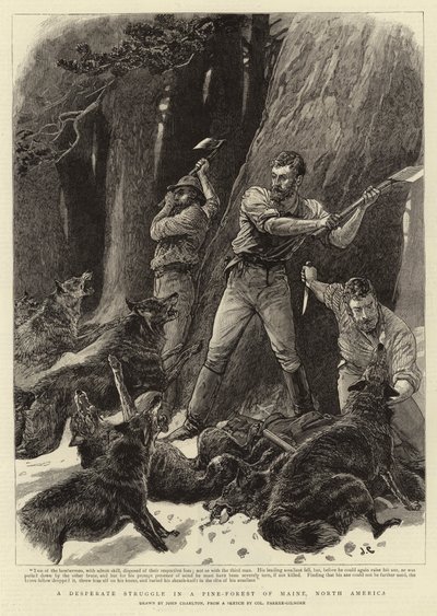 A Desperate Struggle in a Pine-forest of Maine, North America by John Charlton